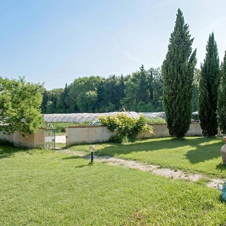 B&B Casa Betulla Pisa Exteriör bild