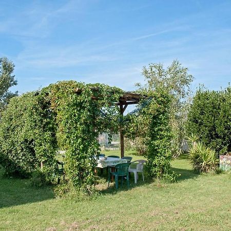 B&B Casa Betulla Pisa Exteriör bild